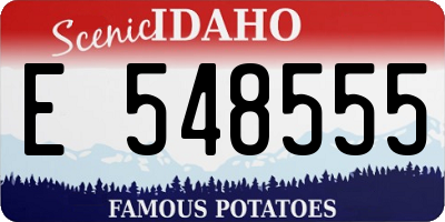 ID license plate E548555