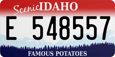 ID license plate E548557