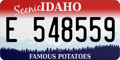 ID license plate E548559