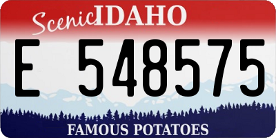 ID license plate E548575