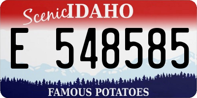 ID license plate E548585