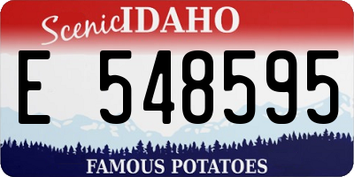 ID license plate E548595