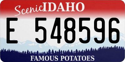 ID license plate E548596