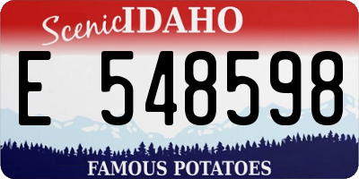 ID license plate E548598