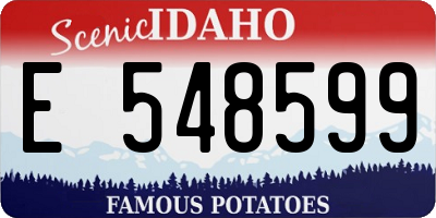 ID license plate E548599