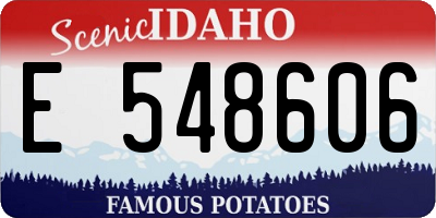 ID license plate E548606