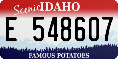 ID license plate E548607