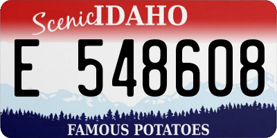 ID license plate E548608