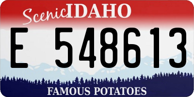ID license plate E548613