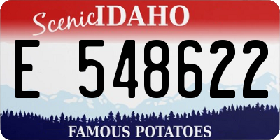 ID license plate E548622