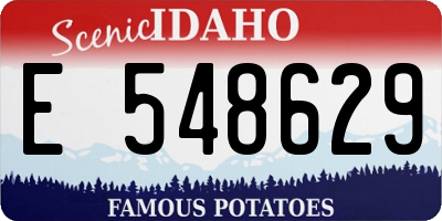 ID license plate E548629