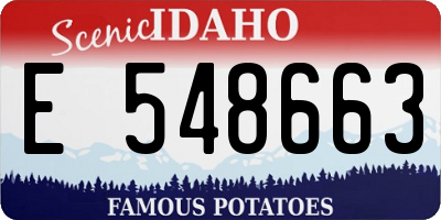ID license plate E548663