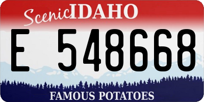 ID license plate E548668
