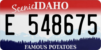 ID license plate E548675