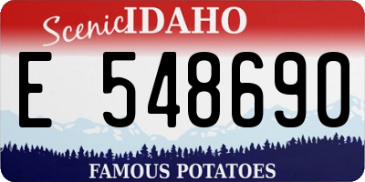 ID license plate E548690
