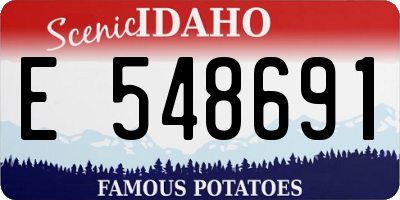 ID license plate E548691