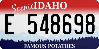 ID license plate E548698
