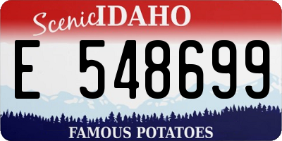 ID license plate E548699