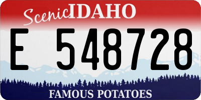 ID license plate E548728