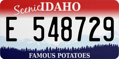 ID license plate E548729