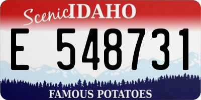 ID license plate E548731