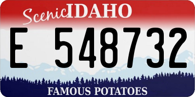 ID license plate E548732