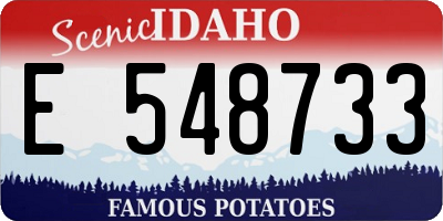 ID license plate E548733