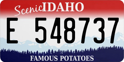 ID license plate E548737
