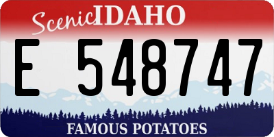 ID license plate E548747
