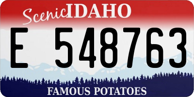 ID license plate E548763