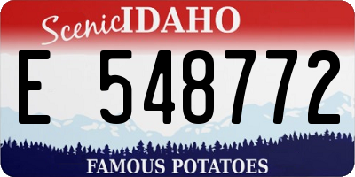 ID license plate E548772