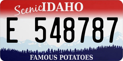 ID license plate E548787