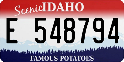 ID license plate E548794