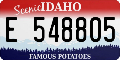 ID license plate E548805