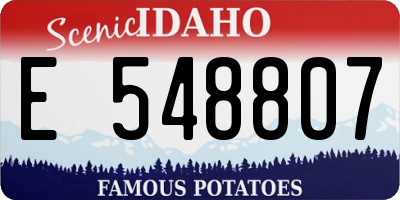 ID license plate E548807