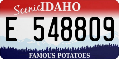 ID license plate E548809