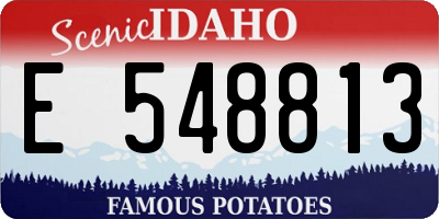 ID license plate E548813