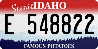 ID license plate E548822