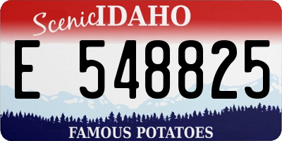 ID license plate E548825