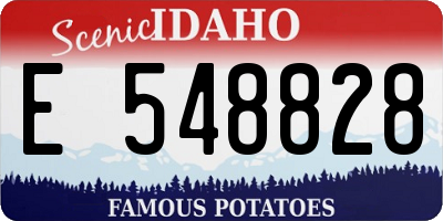 ID license plate E548828