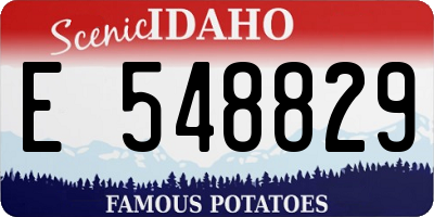 ID license plate E548829