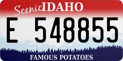 ID license plate E548855