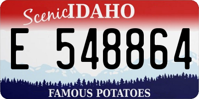 ID license plate E548864