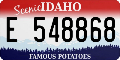 ID license plate E548868