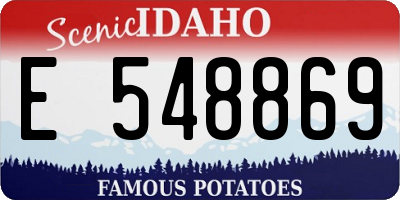 ID license plate E548869