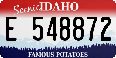 ID license plate E548872