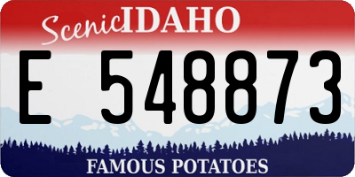ID license plate E548873
