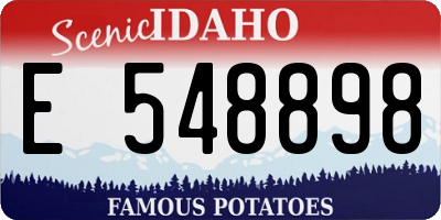 ID license plate E548898