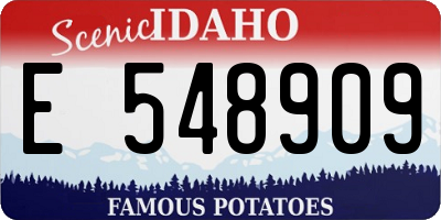 ID license plate E548909