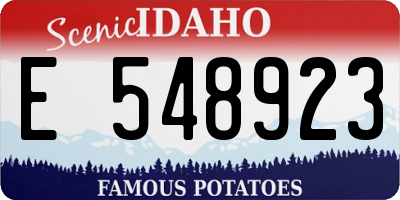 ID license plate E548923